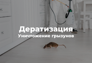 уничтожение грызунов