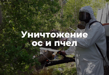 уничтожение ос пчел