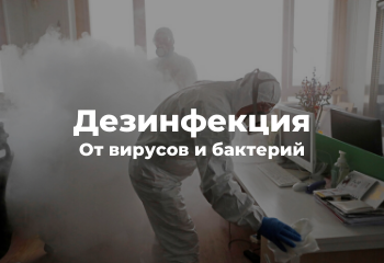 дезинфекция