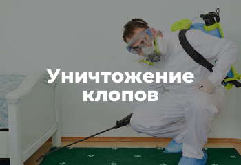 уничтожение клопов