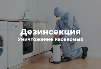 дезинсекция уничтожение насекомых